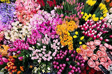 Square Enix公布2023年东京电玩展阵容和时间表